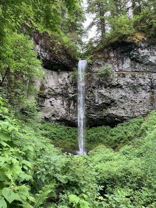 A serene waterfall cascades down rocky cliffs, surrounded by lush green foliage and trees.
