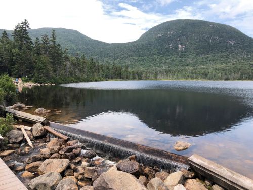 A serene lake surrounded by lush greenery and mountains, with a wooden path and rocks in the foreground.