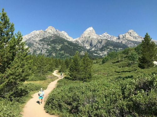 A scenic hiking trail winds through green shrubs, with mountains towering in the background under a clear blue sky.
