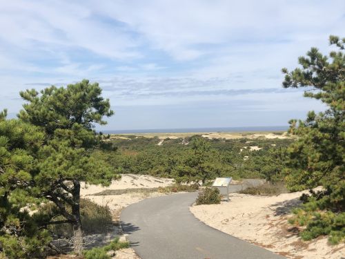 A winding path through sandy terrain leads to a view of the ocean, framed by green trees under a blue sky.