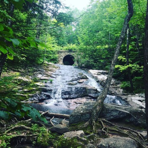 A serene waterfall flows over rocks, leading to a stone tunnel surrounded by lush green trees.