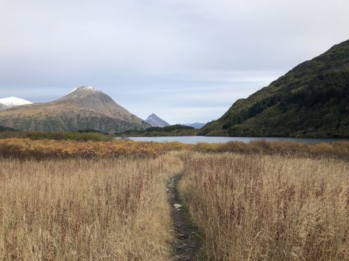 A winding path through tall grass leads to a serene lake, surrounded by mountains and autumn foliage.