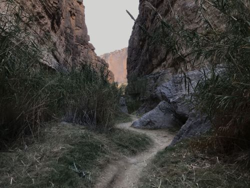 A narrow canyon with rocky walls and sparse vegetation, leading towards a distant light.