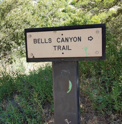 Sign for Bells Canyon Trail, pointing right, surrounded by greenery.
