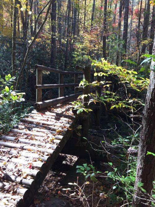 A wooden bridge surrounded by colorful autumn foliage in a serene forest setting.