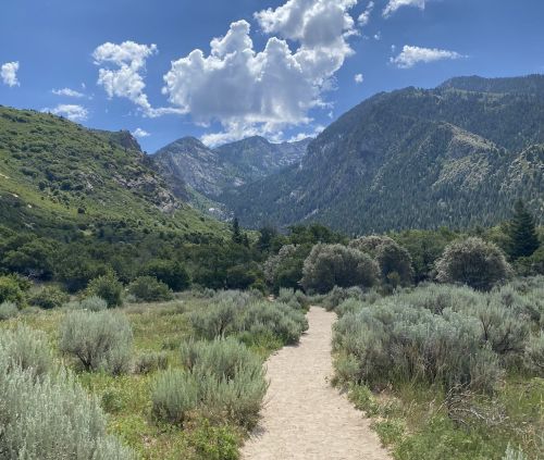 A sandy path winds through lush greenery, leading to mountains under a blue sky with fluffy clouds.