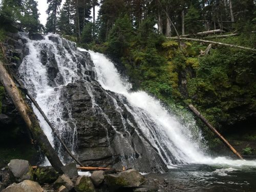 A cascading waterfall flows over rocky terrain, surrounded by lush green trees and mossy rocks.