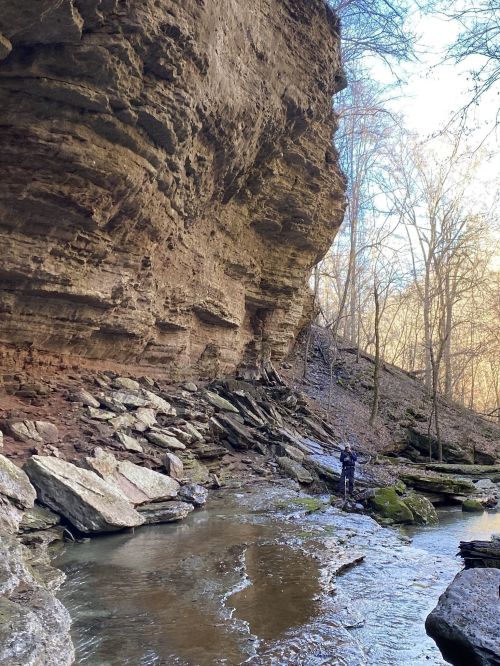 A person stands by a stream near a rocky cliff, surrounded by trees in a serene natural setting.