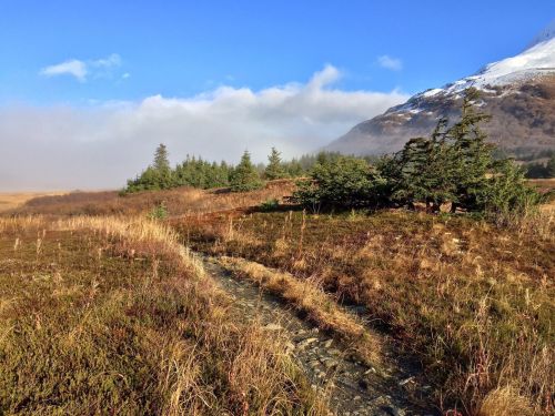A winding dirt path through a grassy landscape with scattered trees and mountains under a clear blue sky.