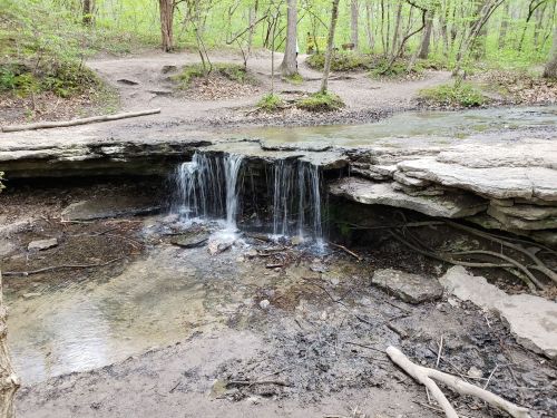 A small waterfall cascades over rocky ledges into a clear stream, surrounded by lush green trees in a forested area.