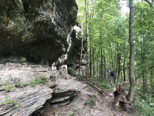 A hiker explores a rocky trail surrounded by lush green trees and large boulders in a forested area.