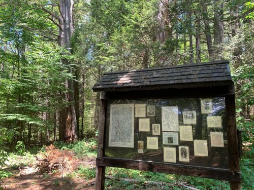 A wooden information board in a forest, displaying maps and documents surrounded by lush green trees.
