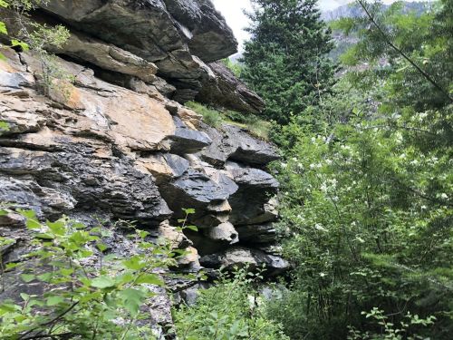 Rocky cliffside surrounded by lush greenery and trees in a natural landscape.