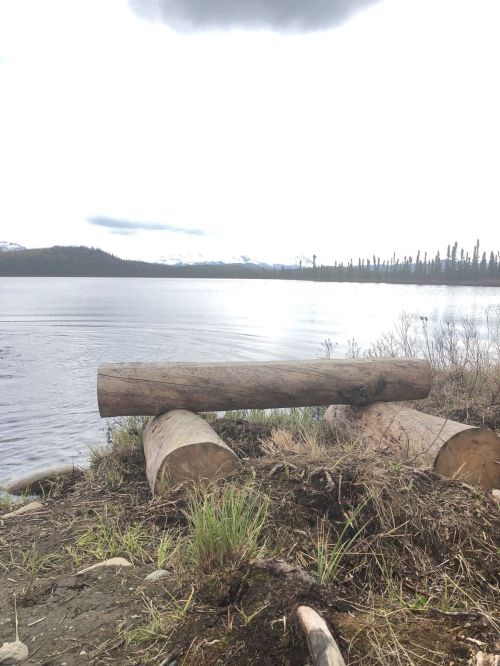 A serene lakeside scene featuring logs on the shore, with mountains and cloudy skies in the background.