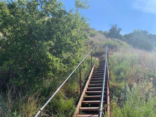 A metal staircase leads up a grassy hill, surrounded by greenery under a clear blue sky.
