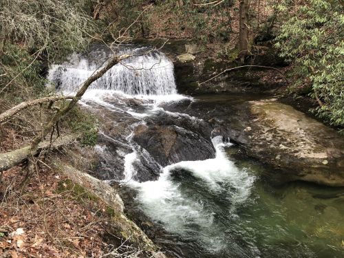 A serene stream flows over rocks, surrounded by lush greenery and trees in a peaceful natural setting.