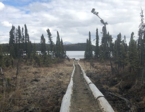 A dirt path made of logs leads through a forest to a lake, with mountains visible in the distance under a cloudy sky.