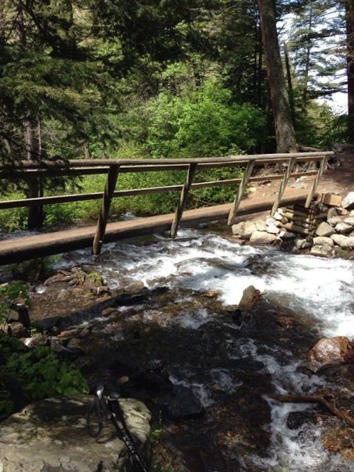 A wooden bridge spans a rushing stream, surrounded by lush green trees and rocky terrain.