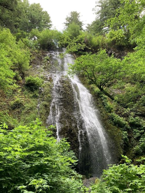 A cascading waterfall surrounded by lush green foliage and trees in a serene natural setting.