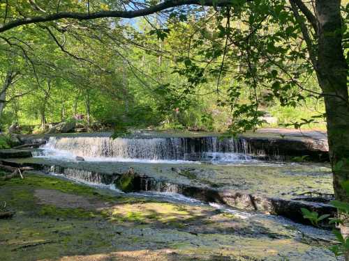 A serene waterfall cascades over rocks, surrounded by lush green trees and sunlight filtering through the leaves.