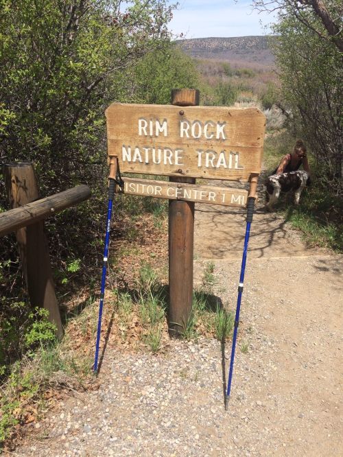 Sign for Rim Rock Nature Trail with hiking poles, surrounded by greenery and a path leading into the distance.