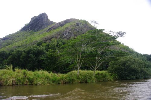 A serene river scene with lush greenery and a rocky hill in the background under a cloudy sky.
