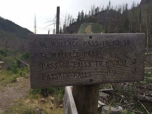 Wooden trail sign indicating directions to Wallace Pass and Passage Falls, with distances marked.