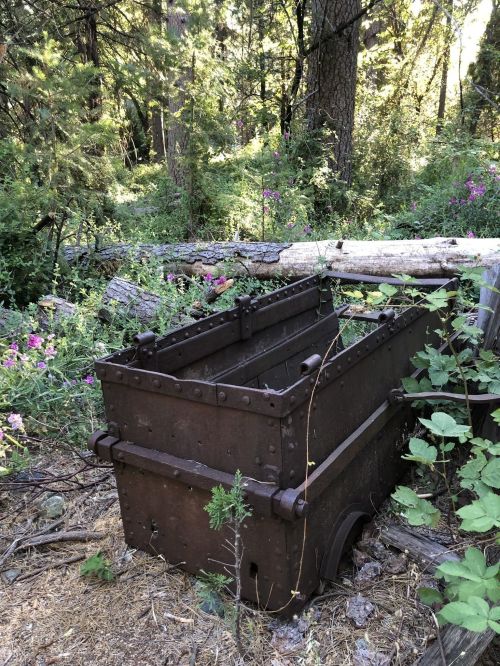 An old, rusty mining cart sits among lush greenery and wildflowers in a forested area.