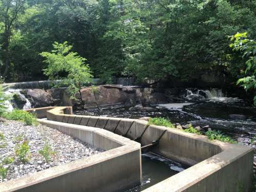 A serene landscape featuring a flowing stream with small waterfalls, surrounded by lush greenery and rocky terrain.