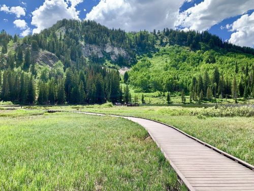 A wooden path winds through a lush green meadow, surrounded by trees and a mountainous backdrop under a blue sky.