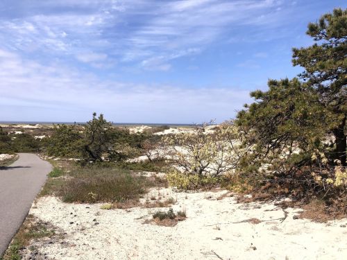 A sandy path winds through a coastal landscape with sparse vegetation and a blue sky in the background.