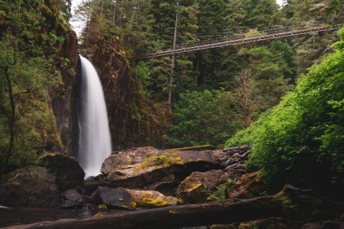 A serene waterfall cascades over rocks, surrounded by lush greenery and a suspension bridge above in a forested area.
