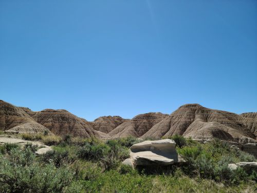 A vast landscape of rolling hills and rock formations under a clear blue sky, with green shrubs in the foreground.