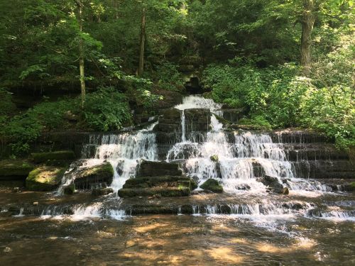 A serene waterfall cascading over moss-covered rocks, surrounded by lush green foliage in a tranquil forest setting.