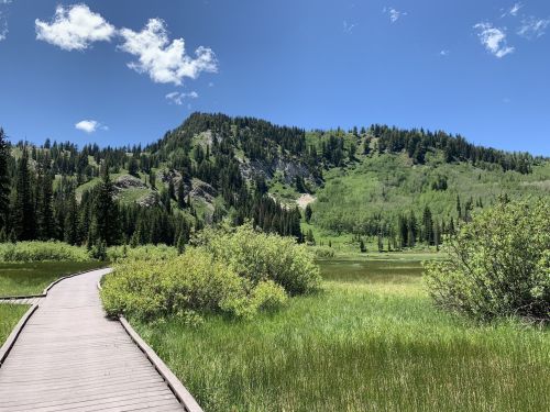 A wooden boardwalk leads through lush green grass and shrubs, with a mountainous backdrop under a clear blue sky.