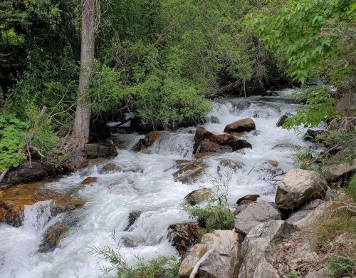 A flowing river with rocks and lush greenery along the banks, creating a serene natural scene.