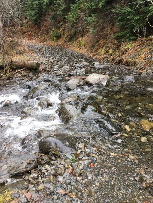 A winding stream flows over rocky terrain, surrounded by trees and autumn foliage.