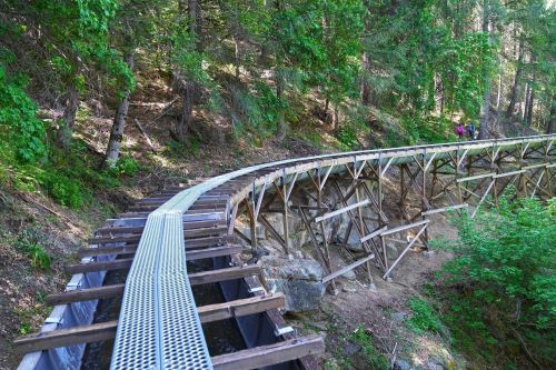 A wooden walkway curves through a lush green forest, surrounded by trees and rocky terrain.