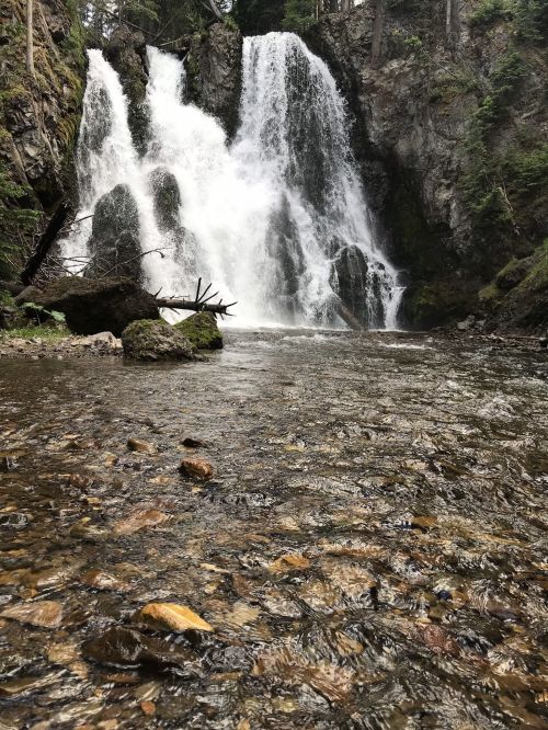A serene waterfall cascades down rocky cliffs into a clear stream, surrounded by lush greenery and smooth stones.