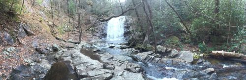 A serene waterfall cascades over rocks, surrounded by lush greenery and trees in a tranquil forest setting.