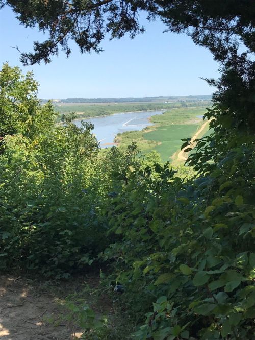 A scenic view of a river winding through lush greenery and fields under a clear blue sky.