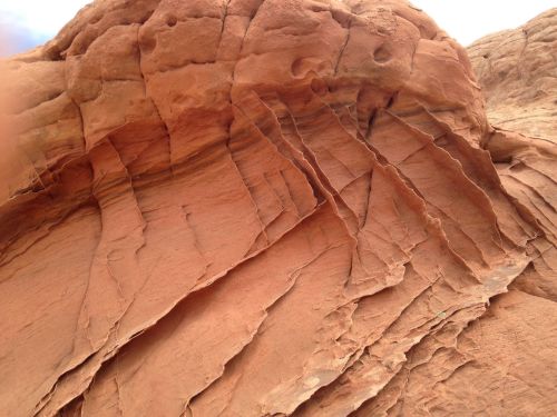 Close-up of textured red rock formation with layered grooves and ridges, showcasing natural erosion patterns.