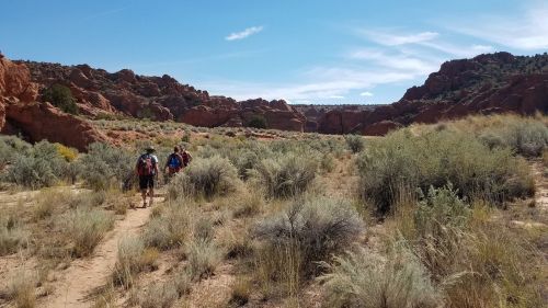 Two hikers walk along a trail through a desert landscape with red rock formations and sparse vegetation under a blue sky.