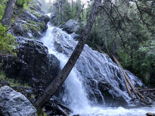 A cascading waterfall flows over rocky terrain, surrounded by lush greenery and tall trees in a serene forest setting.