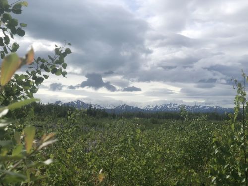 A scenic view of mountains under a cloudy sky, framed by green foliage in the foreground.