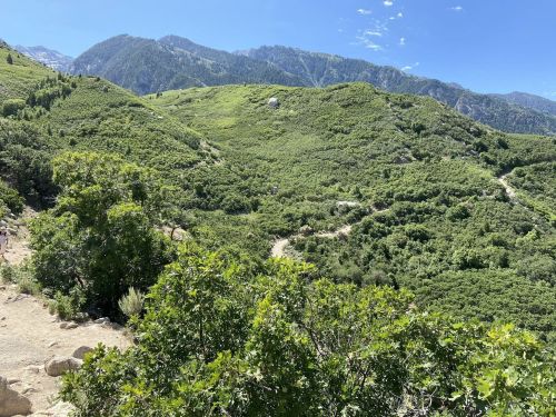 A scenic view of lush green hills and mountains under a clear blue sky, with a winding path through the landscape.