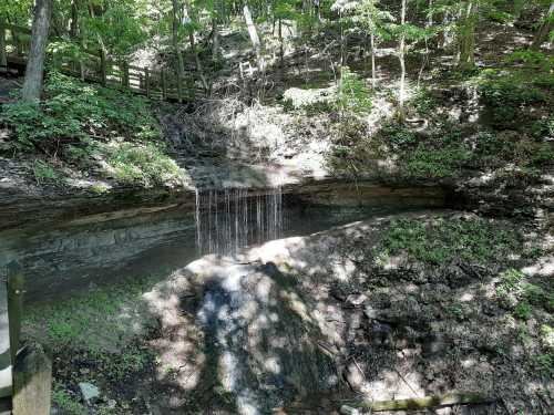 A small waterfall cascades over rocky terrain, surrounded by lush green trees and dappled sunlight.