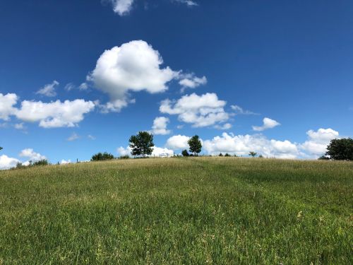A grassy hill under a blue sky with fluffy clouds and a few trees in the background.