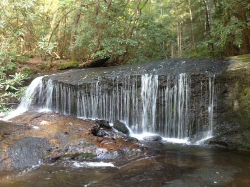 A serene waterfall cascading over a rocky ledge, surrounded by lush green trees and foliage.
