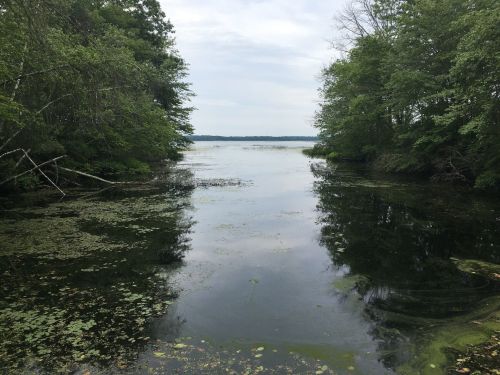 A serene waterway surrounded by lush greenery and trees, reflecting a cloudy sky above.
